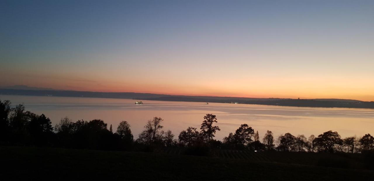 Lakeview Penthouse Meersburg Ngoại thất bức ảnh