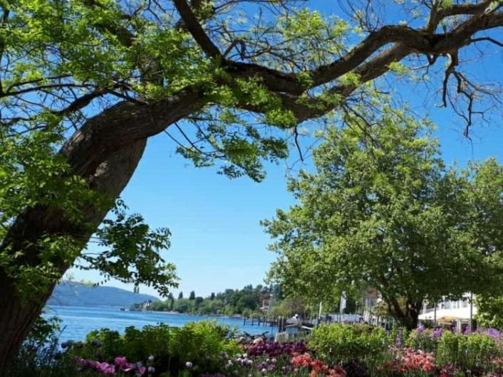 Lakeview Penthouse Meersburg Ngoại thất bức ảnh